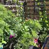 Garden Square Mesh Trellis Netting Polyester Plant Climbing Support Net For Outdoor Vegetables Fruits Vines Grow Tent Climber Holder