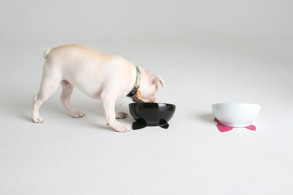 HARIO Czarna Miska na Jedzenie dla Buldoga Francuskiego z Silikonową Matą 150ml,