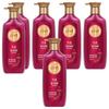 Riene Jayun Shine Enhancement Conditioner 500ml 6 Pcs