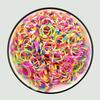 Loom Rubber Bands Refill Kit Premium Bracelet Making Kit for Kids Weaving DIY Crafting Toys Christmas Gift Children Toys