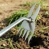 2-in-1 Weed Puller, Heavy Duty Stainless Steel Hand Weeder, Weeding Tool with Ergonomic Non-Slip Handle, Hand Tool for Uprooting Lawn Yard Garden Weed