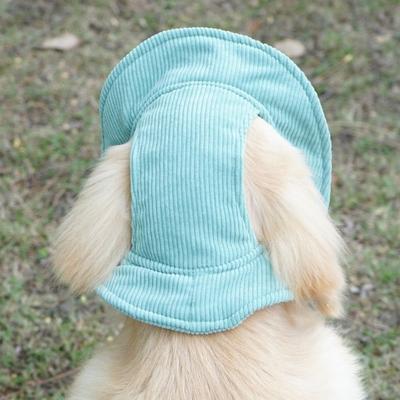 Giyim ve ayakkabı – Köpek için şapkalar