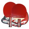 Double Fish 2-Star Table Tennis Racket