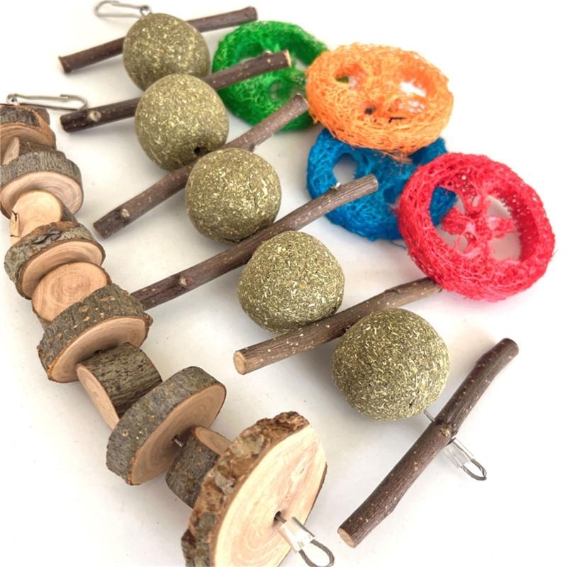 21PCS Hamster Bird Rabbit Chew Toy Wood Toy to Keep Small Rodents Healthy Enhances Dental Healthy and Provide Enjoyments