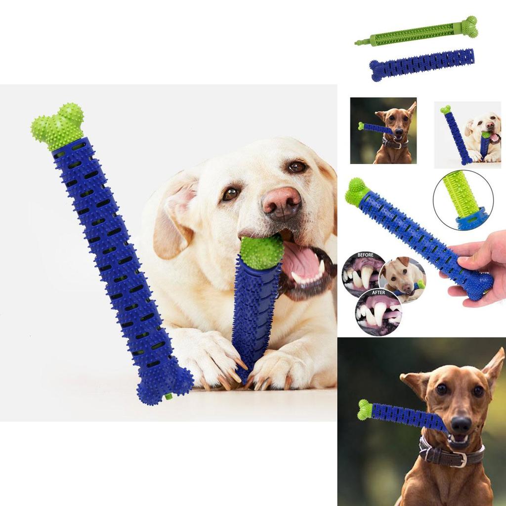 Silicone Dog Chew Toy Bone Interactive Teeth Cleaning Toy For Pet Durable And Noise-making Blue And Green