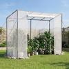 VEVOR Walk-in Greenhouse, 195 X 77 X 168 Cm Greenhouse for Outdoors with Windows, Durable PE Cover, Roll-Up Zipper Door, Walk In Green House Kit