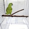 1pcsBird Stand Pole, Parrot Stand, Claw Grinding, Perching and Biting Bird Cage Supplies