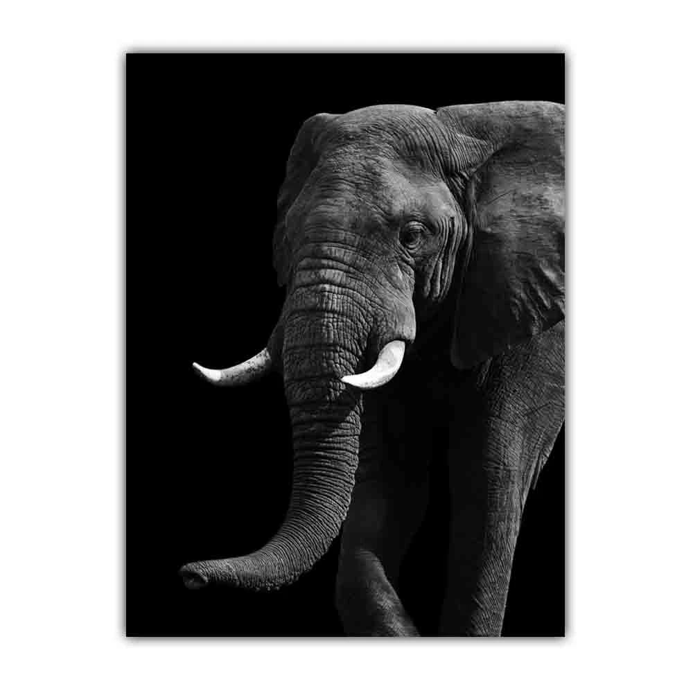Animal Elephant Black and White Print Art Canvas Poster For Living Room Decoration Home Wall Picture