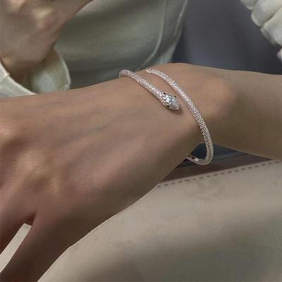 Slim Silver Snake Bracelet - Women's Trendy Hip-Hop Light Luxury