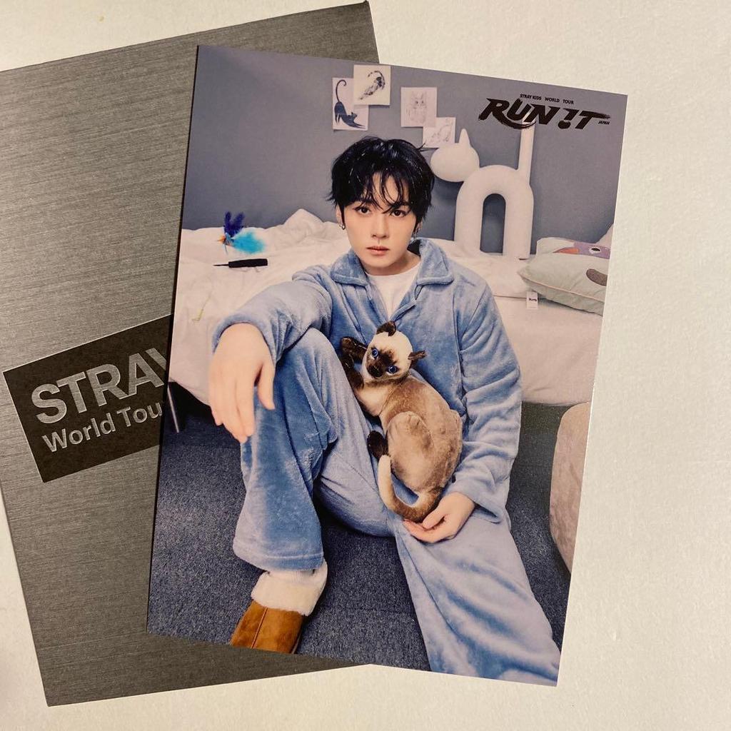 Used Stray Kids RUN IT JAPAN Random Trading Card Lee Know