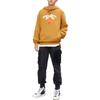 Converse Sweatshirts Men's Brown Hooded Moderate Regular 10023523-A03