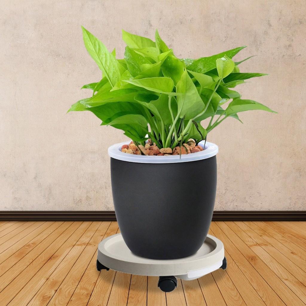 Supporto per Piante Robusto Ispessito da 14 pollici Scaffale a Pallet Giardini Portavasi per Fiori Vassoio Rotante Mobile con Ruote Fioriera