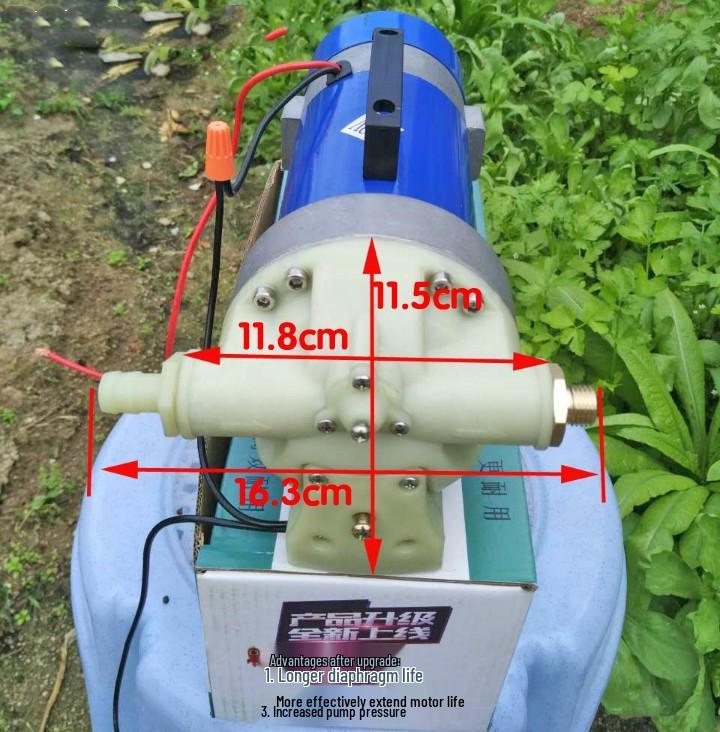 Da Feng Da 310 Electric High-Pressure Self-Priming Water Pump for Spraying & Car Wash - 5-Cylinder Diaphragm Pesticide Applicator.