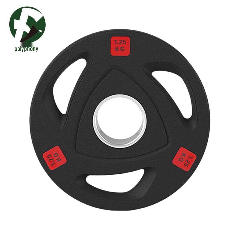 Fuyin Rubber Coated Cast Iron Barbell Weight Plate
