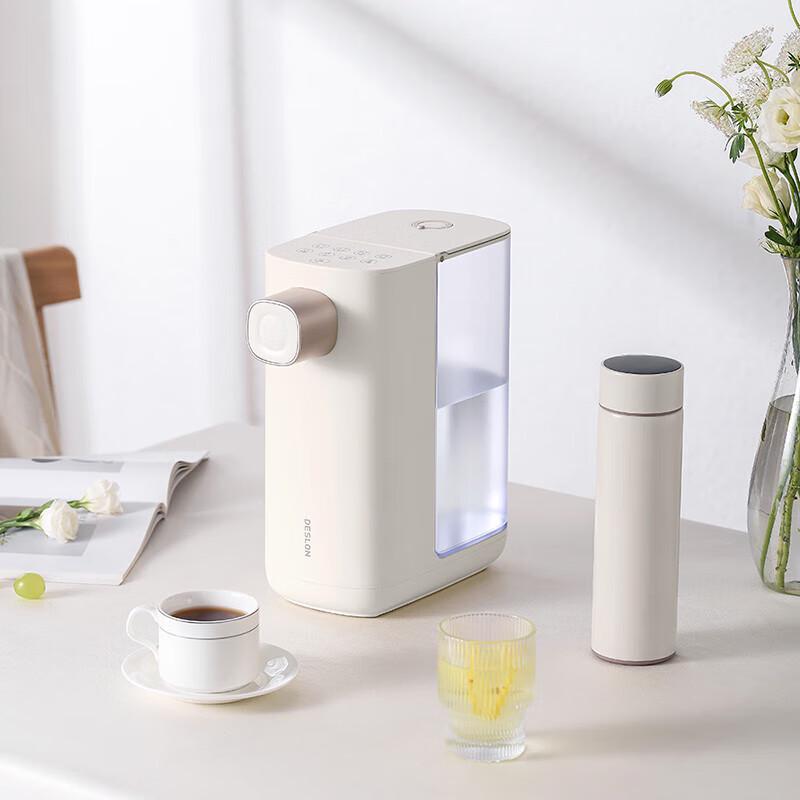 

Deslang Instant Hot Water Travel Kettle