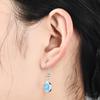 Elliptical High End Stylish Earrings