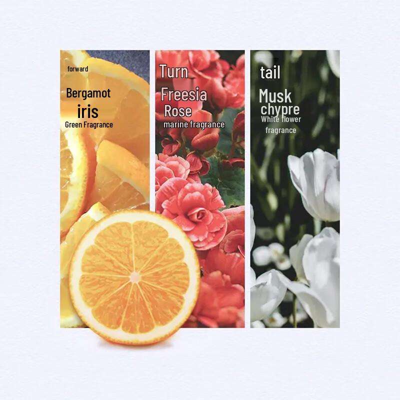 Kérastase Professional Shampoo Trial Set 3x80ml