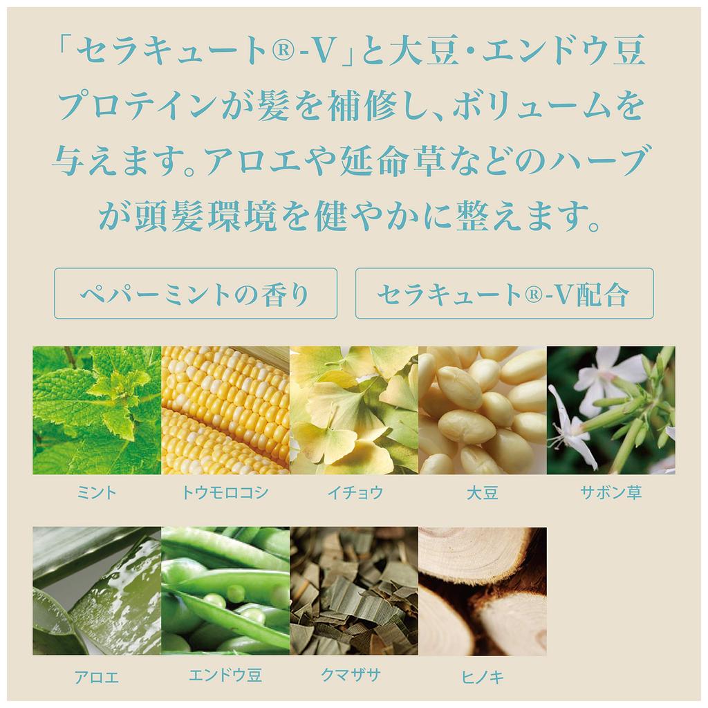 Clean Treatment of Hair Peppermint by Dandruff and Itchiness Salon Scalp Care for Smooth [Cool, Refreshing, Scent] 2-EC 210g, Scent, Ofcosmetics.