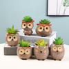 Cute Owl Ceramic Planter for Succulents: Flower/Bonsai Thumb Pot Ornament