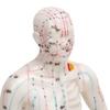 Human Body Acupuncture Model Professional Portable Meridian Points Model for Science Class Education 10.2in