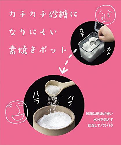 Ishigaki Sangyo Sugar Pot 300ml with Spoon