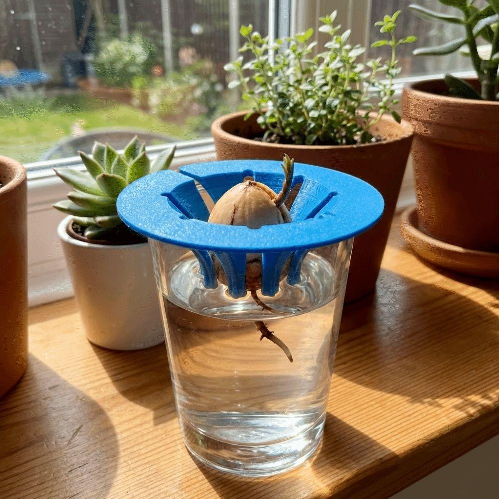 Soil-Free Seedling Tray Plastic Hydroponic Stand Special Holder Avocado Planter  Plant Observation