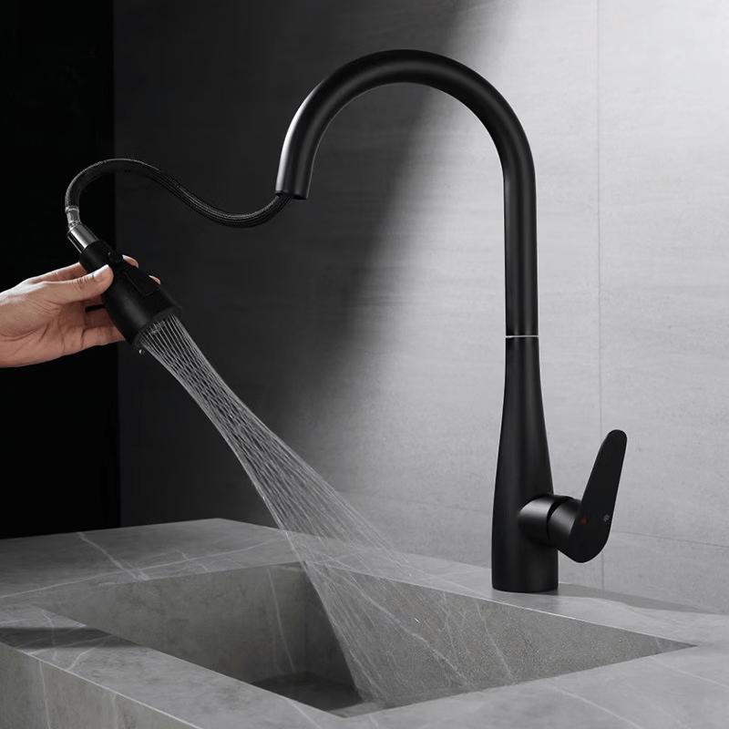 HC 304 Stainless Steel Pull-Out Kitchen Faucet