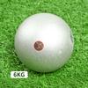 WEZHO Professional Competition Shot Put - 7.26kg