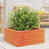 VidaXL Planter Wax Brown 60x60x23 Cm Solid Pine Wood, Outdoor Planter, Flower Box, Plant Box, 847190