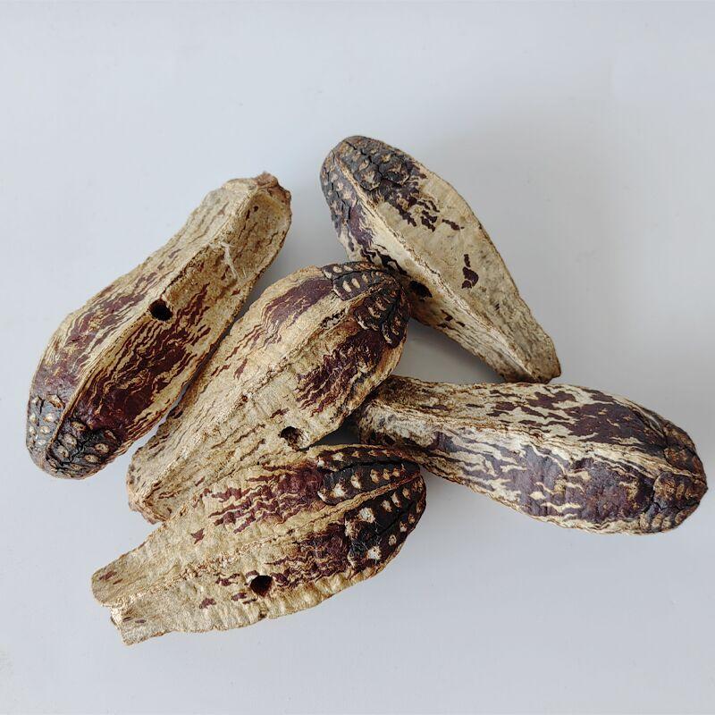 La gabbia per uccelli alla stazione degli uccelli è decorata con carambole e palline di rattan come giocattoli da masticare, per alleviare la noia e mordicchiare fili.