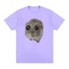 Funny Sad Hamster Meme Cry BiG Eye Cute Mouse  T Shirt Men Women Casual Short Sleeve T-shirts Tops 100% Cotton Oversized T-shirt