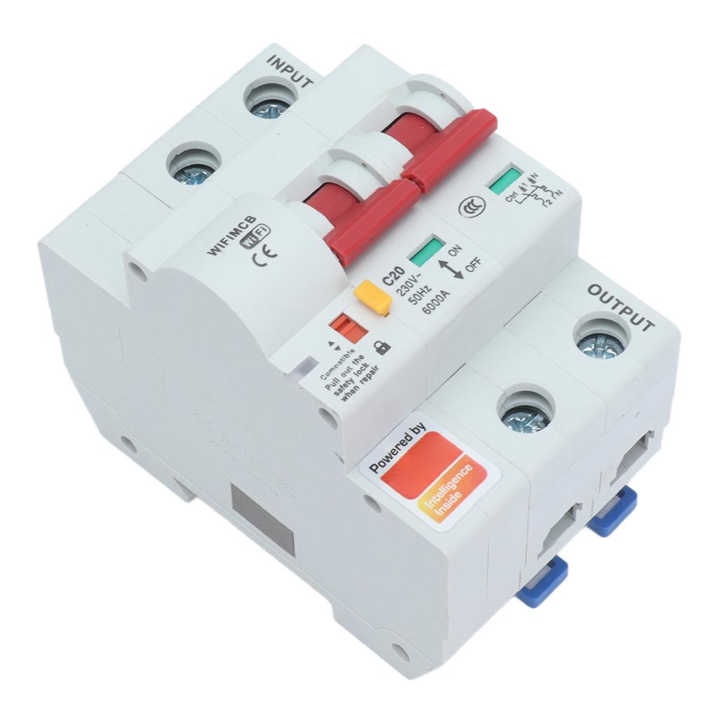 Smart Circuit Breaker 2P WiFi App Remote Control Overcurrent AC220V