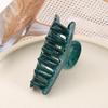 1pc Starry Sky Acrylic Hair Clip for Women, Shower, Shower, Hair Grab, Candy Color Sparkling Powder Top Clip Jewelry for Women