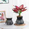 Self-watering Flowerpot with Self-absorbing Cotton Rope Creative Plastic Plant Pot Indoor