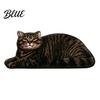 Non-slip Floor Mat Cute Cat Bathroom Rug Anti-Slip Absorbent Bath Washable Plush Door