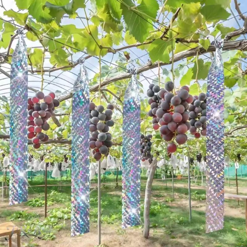 Vogelschutz Holografisches Band 1 Rolle Doppelseitiges Reflektierendes Abschreckungsband Kein Schaden für Vögel für den Außenbereich Garten Obstgarten