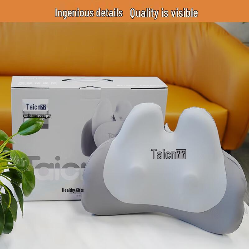 Taicn Multi-Region Kneading & Heating Massager Cushion