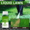 59ml Green Grass Lawn Spray Household  System Liquid Spray  Lawn Care Grass Nutrient Solution Fertilizer