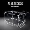 Acrylic Reptile Terrarium Small Pet Habitat Tarantula Gecko Scorpion Beetle Desktop Display Box With Thermometer Option