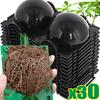 30/5 Stück Pflanzenbewurzelungs-Wachstumskugeln Hochdruck-Vermehrungs-Pfropfkugeln Wiederverwendbare Pflanzenbewurzelungsgeräte Gartenpfropfbedarf