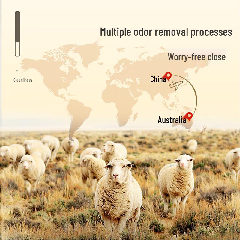 FUANNA 100% Wool & Silk Two-in-One Quilt