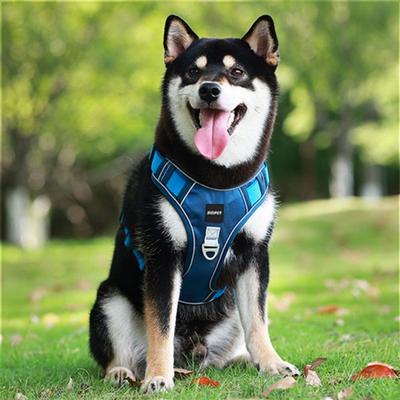SLC Pet Ultra-light Harness for Small Dogs, Medium-sized Dogs and Large Dogs, Blue