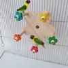 Pet Budgies Cage Feeder Toy for Multiple Birds Rotating Training Colorful Wheel for Small Size Birds for Cage Decoration