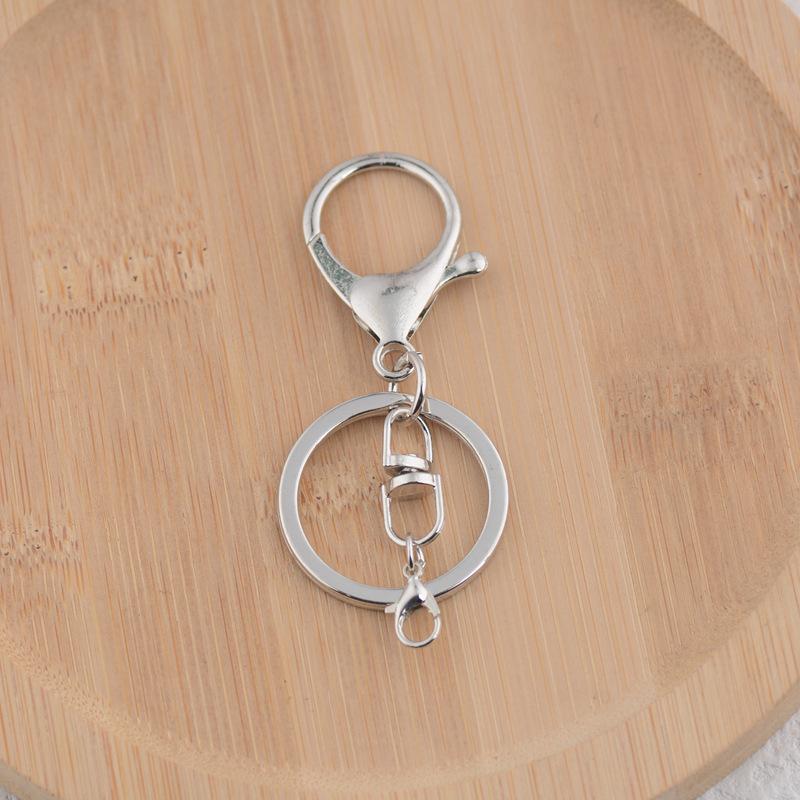 10Pcs Heavy Duty Metal Keychain Lobster Claw Swivel Clips with Key Ring for Purse Strap Attachment