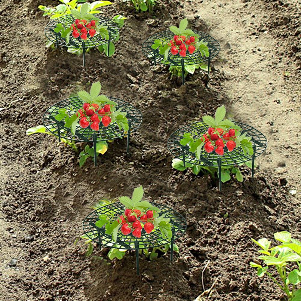 Erdbeerstützen mit 4 stabilen Beinen halten Pflanzenobstständer halten Beeren sauber Gartenständer zum Schutz von Erdbeeren