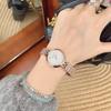 Steel Belt Watch Small Dial Female Fritillary Surface Simple Classic Female Watch