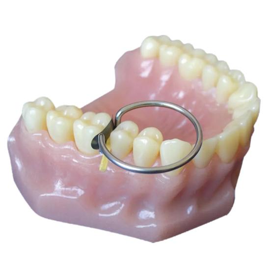 ET Dental Sectional Contoured Matrices Kit