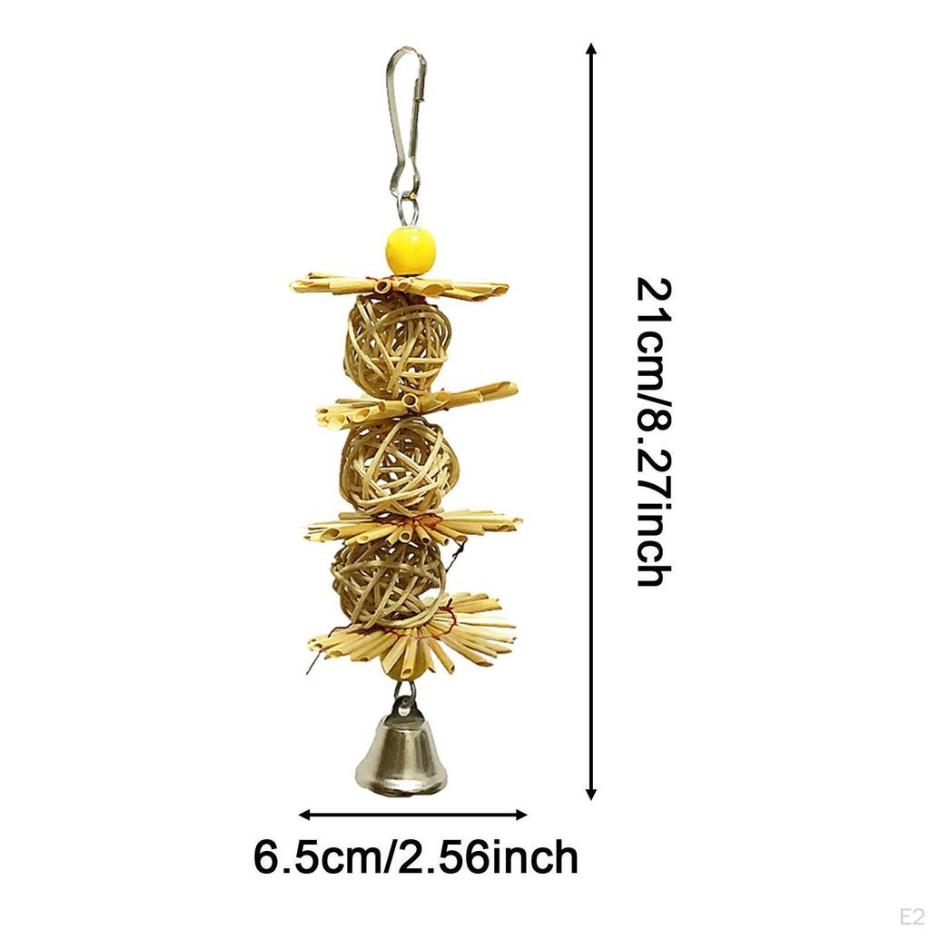 Chewing Toy for Small Parrots And Conures