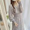 Floral Print Chiffon Dress Long Dress Women Spring New Korean Style Fairy Dress Ruffled Maxi Skirt