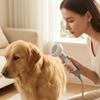 Dog Dryer Brush 2-in-1 Pet Hair Dryer with Brush Pet Grooming Blower Powerful 3-Speed for Dogs
